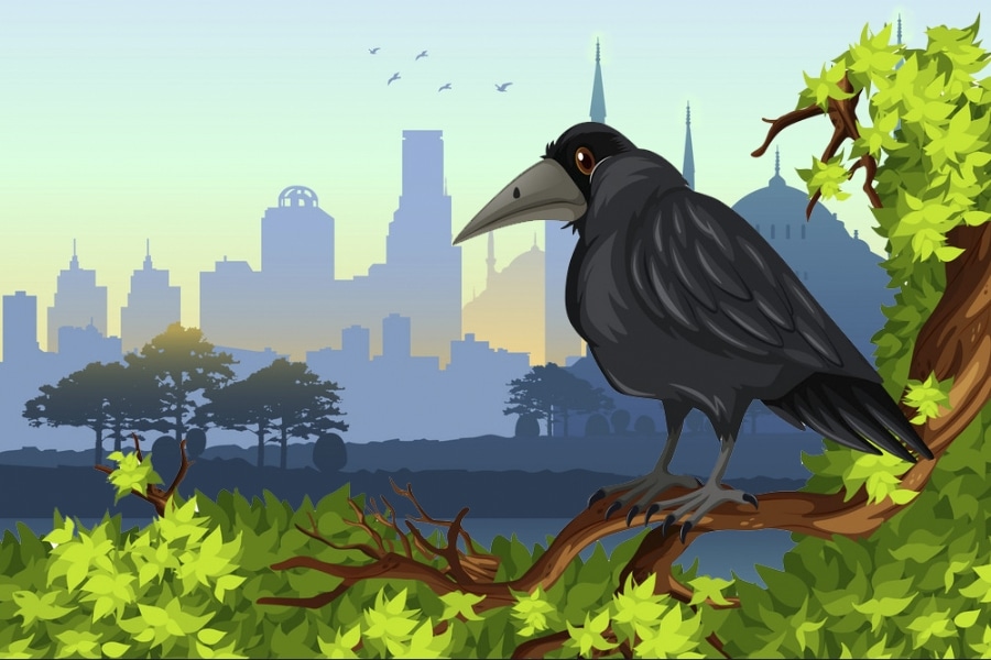 hoangphap long hieu thao cua qua den full 03242019 042451