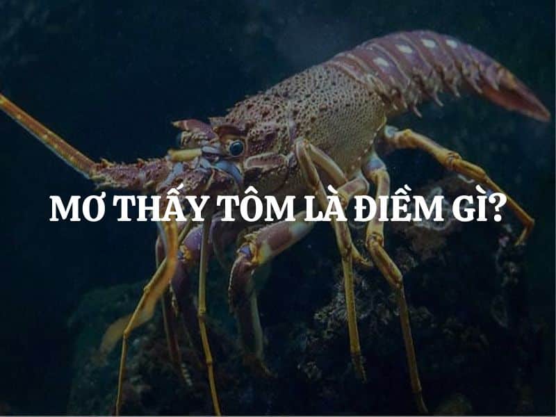 mo thay tom la diem gi giai ma chi tiet tung truong hop 4574