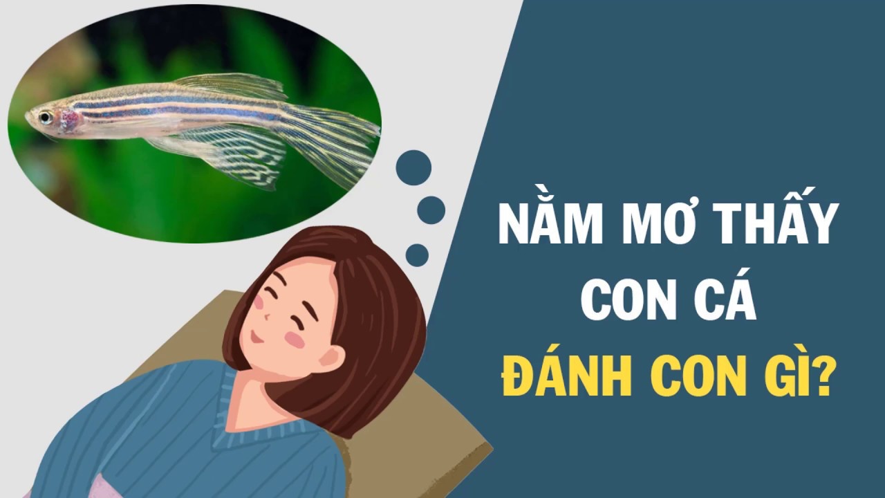 mơ thấy cá chép đánh con gì