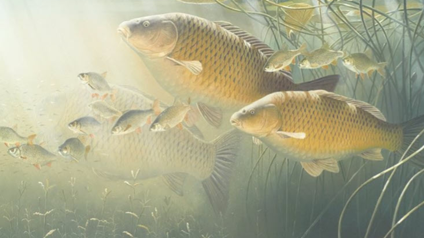 2025 08 09 19 08 40 1700x956 1