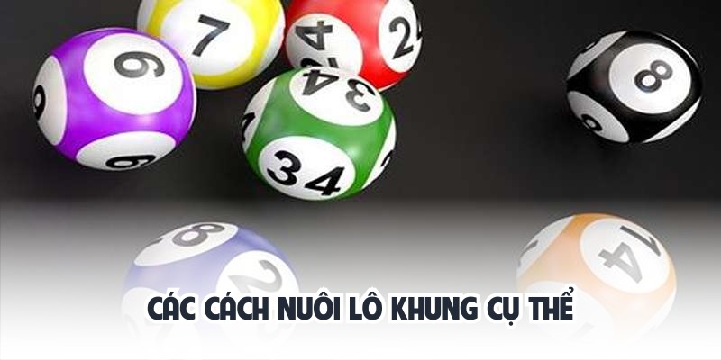 Nuôi lô khung 2,3,5 ngày hiệu quả, tỷ lệ về 100% 1 Nuôi Lô khung