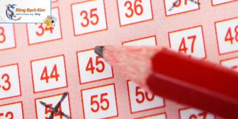 Bí kíp soi cầu bỏ đuôi lẻ và con kép hiệu quả