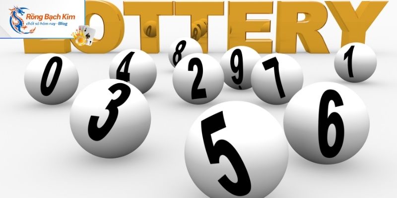 Bí quyết soi cầu Win288 Asia hiệu quả