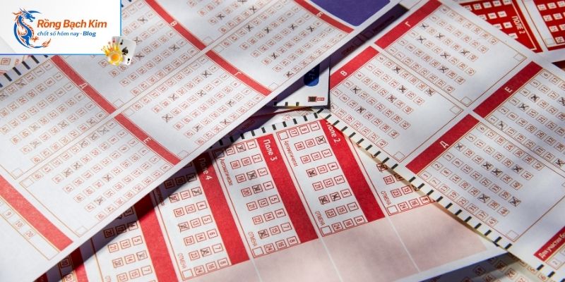 Các bước thực hiện Rồng Bạch Kim 247 an toàn hiệu quả