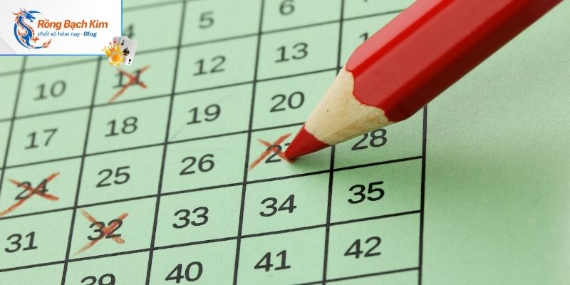 Các gợi ý mà trang rồng bạch kim 777 mang đến