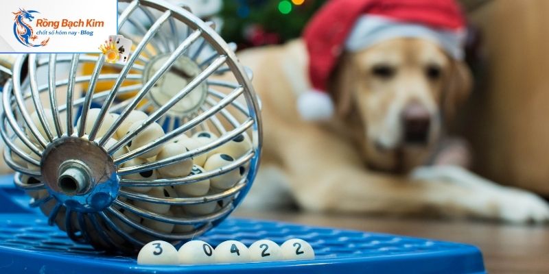 Cách đánh soi cầu theo hình tam giác hiệu quả cao