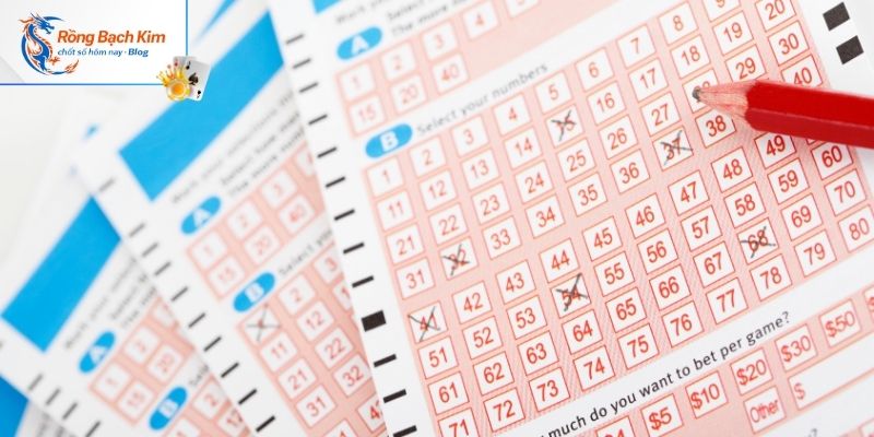 Cách nuôi khung 3 ngày vào tiền tỷ lệ 1:2:3