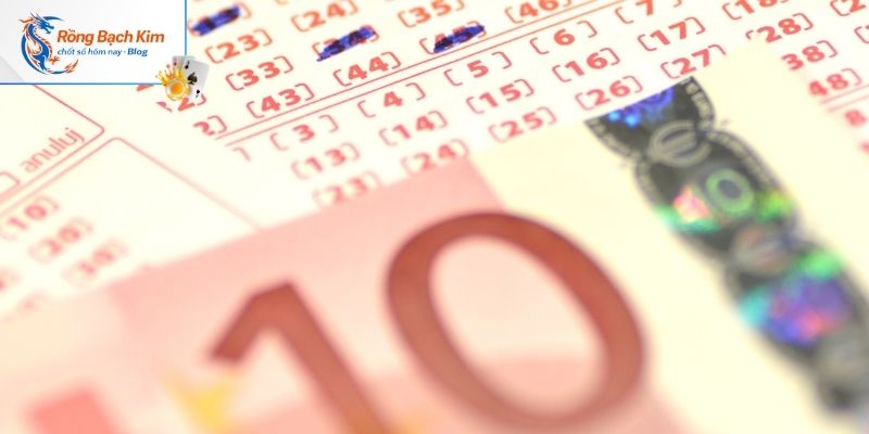 Cách nuôi lô kép 5 ngày