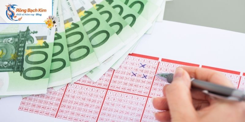 Cách nuôi lô kép khung 3 ngày