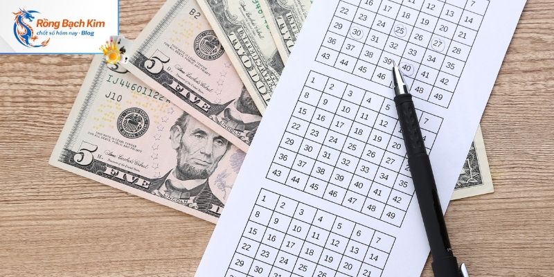 Nuôi Dàn Đề 20 Số Khung 5 Ngày Siêu Hiệu Quả 3 Chi tiết cách nuôi dàn theo 7 giải XSMB