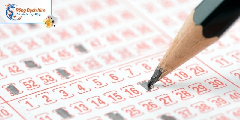 Chiến lược cá cược Rồng Bạch Kim cực chuẩn