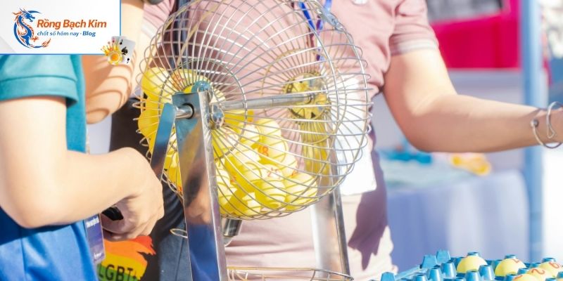 Chiến lược nuôi song thủ lô cực hiệu quả