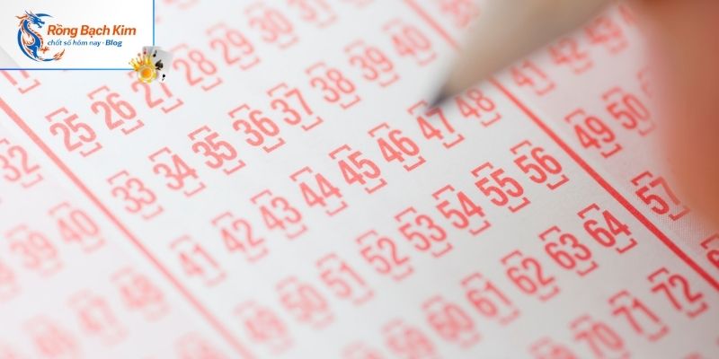 Chiến thuật nuôi bạch thủ theo đầu câm đuôi câm