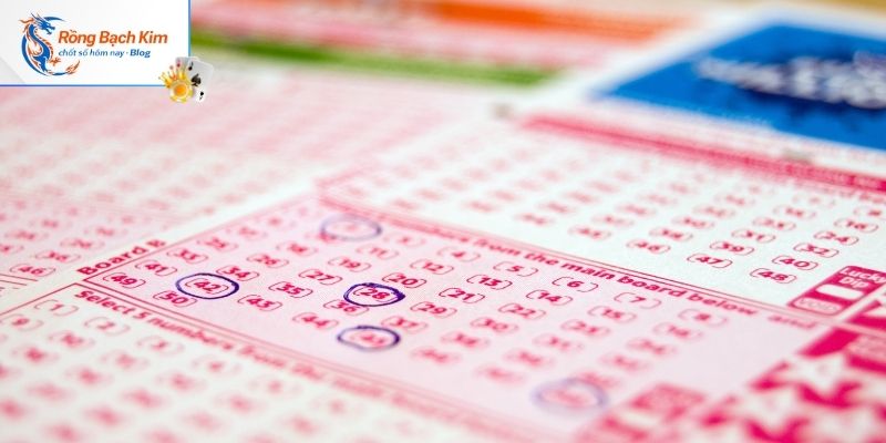 Dàn đề 50 số ? Bí Kíp Chốt Số Cực Đẹp Cực Nhanh 3 Chiến thuật soi cầu dựa vào tổng đề cực hay