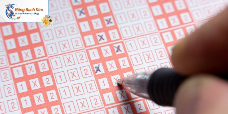 Chọn đánh lô kép từ rồng bạch kim chính xác 100