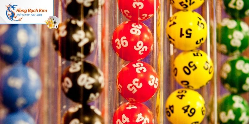 Cược bạch thủ lô hôm nay dựa trên lô kép hiệu quả