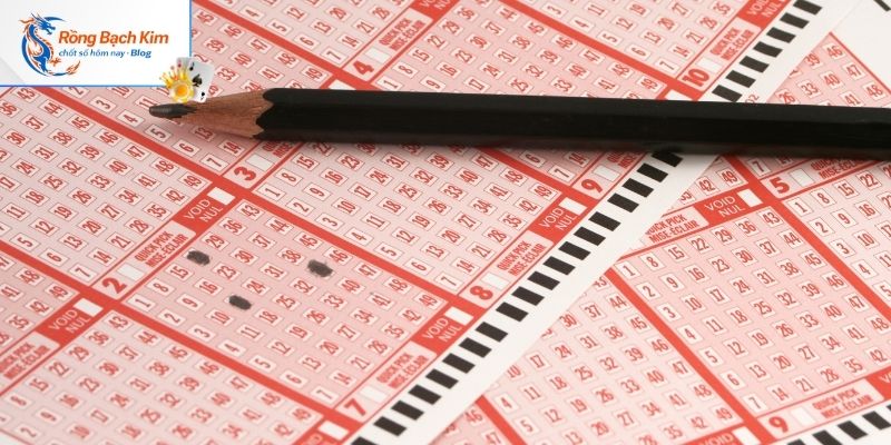 Điểm cộng nổi bật khi soi cầu tại rongbachkim.blog