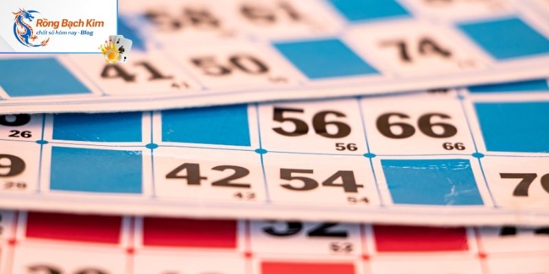 Điều kiện nuôi lô kép khung 5 ngày