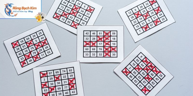 Giải đáp các thắc mắc về nuôi dàn đề