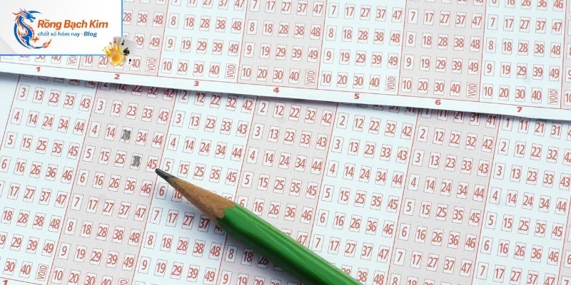 Giải đáp độ tin cậy mà hệ thống rồng bạch kim đem lại