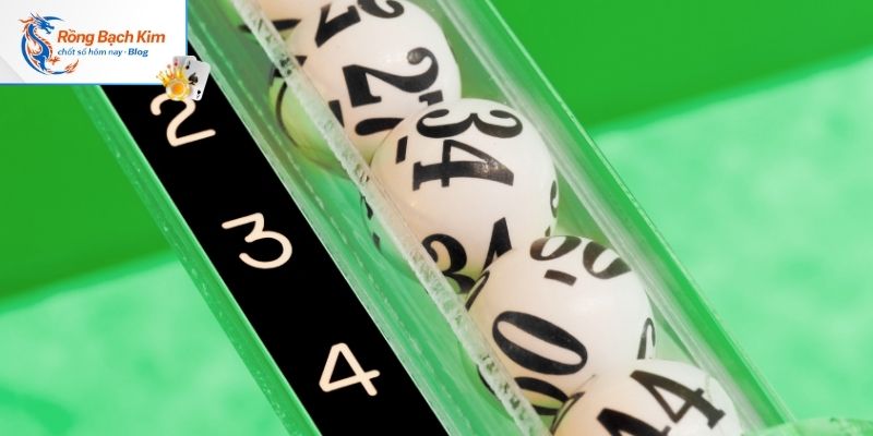 Giới thiệu rồng bạch kim 666