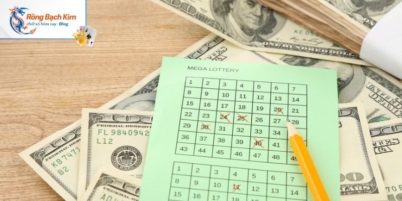 Hạn chế khi nuôi dàn 60 số