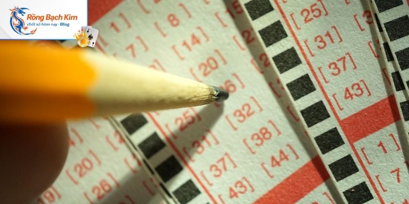 Hướng dẫn nhanh cách soi cầu đơn giản với 4 bước