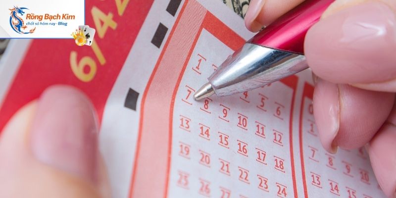 Nuôi Dàn Đề 20 Số Khung 5 Ngày Siêu Hiệu Quả 2 Hướng dẫn nuôi dàn theo tổng đề lùi ngày