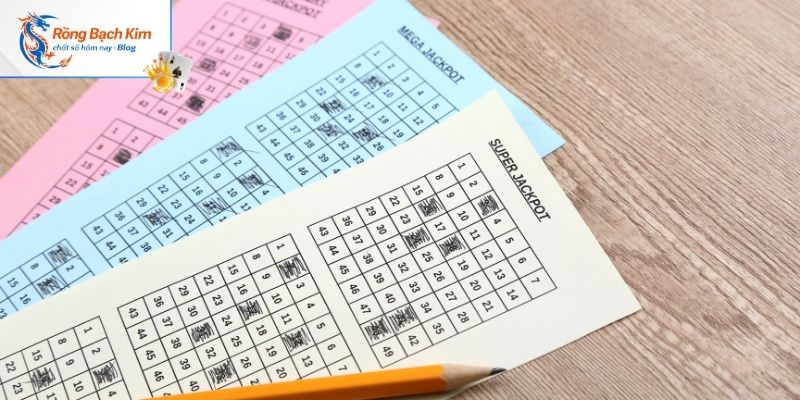 Hướng dẫn quy trình ghép cầu Rồng Bạch Kim chuẩn