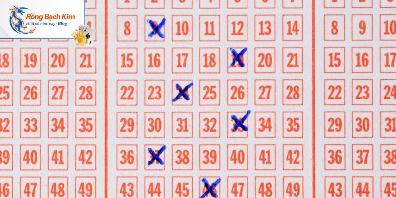 Hướng dẫn vào tiền nuôi lô song thủ ngày thứ 3