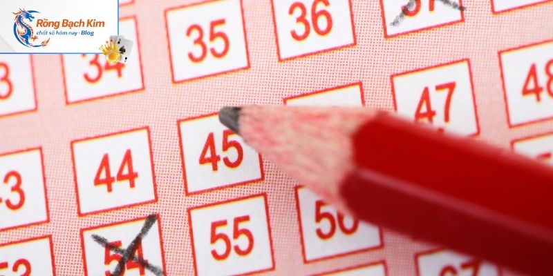 Không chạy theo tâm lý đám đông, giữ nguyên tắc cá nhân khi soi cầu