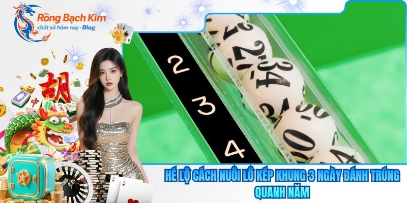 Nuôi lô kép khung 3 ngày