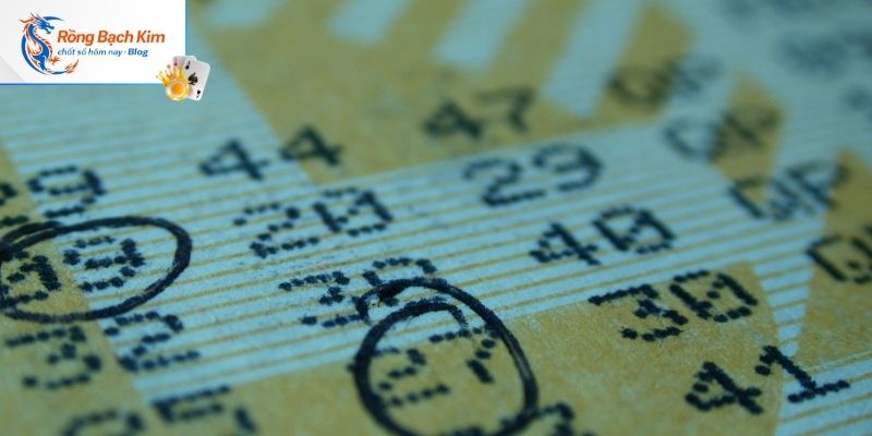 Lợi ích mà hình thức soi cầu mang đến cho thành viên