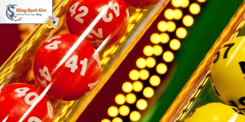 Lý do nên chọn soi cầu 888 tại rongbachkim.blog 