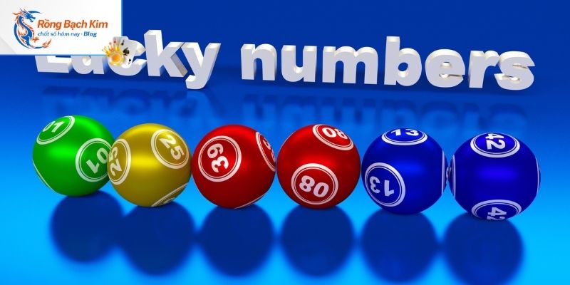 Lý do nên soi cầu 20 số tại rongbachkim.blog?
