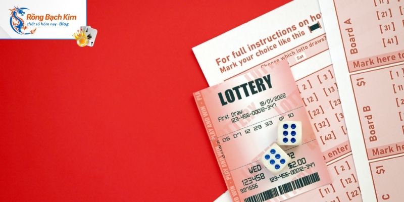 Lý do người chơi nên soi cầu tại rongbachkim.blog