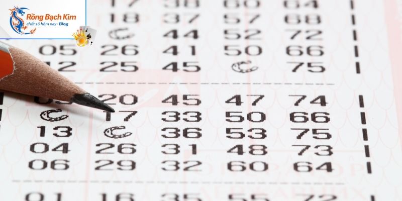 Dàn đề 50 số ? Bí Kíp Chốt Số Cực Đẹp Cực Nhanh 4 Mẹo tham khảo trang soi cầu uy tín và miễn phí