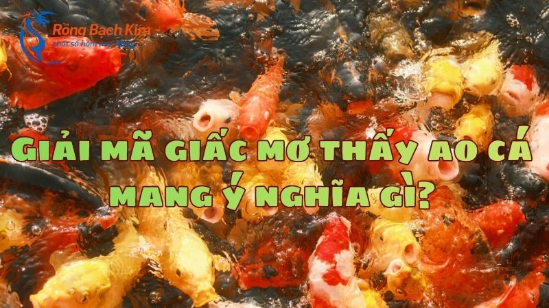 mơ thấy ao cá