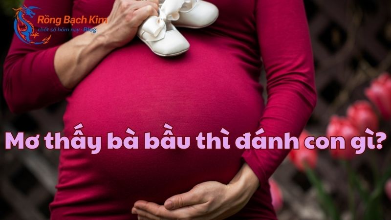 mơ thấy bà bầu