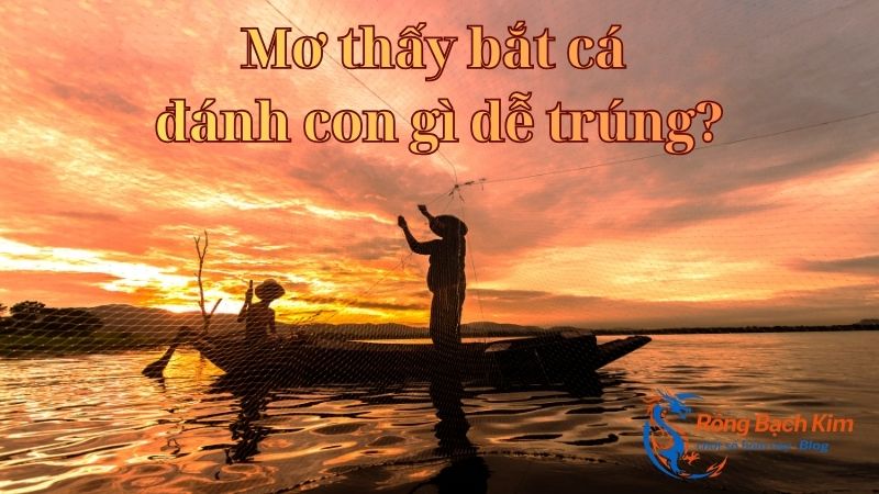 Gợi mở báo hiệu hấp dẫn về giấc mơ thấy bắt cá 3 mơ thấy bắt cá