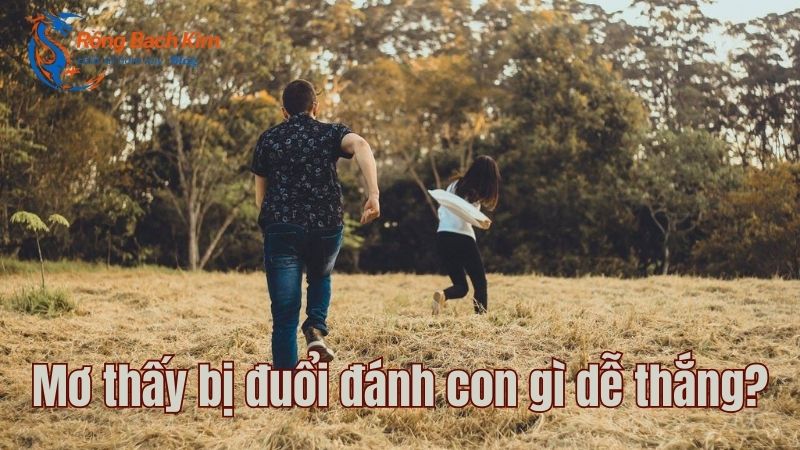 mơ thấy bị đuổi đánh