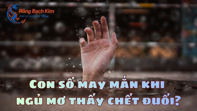mơ thấy chết đuối