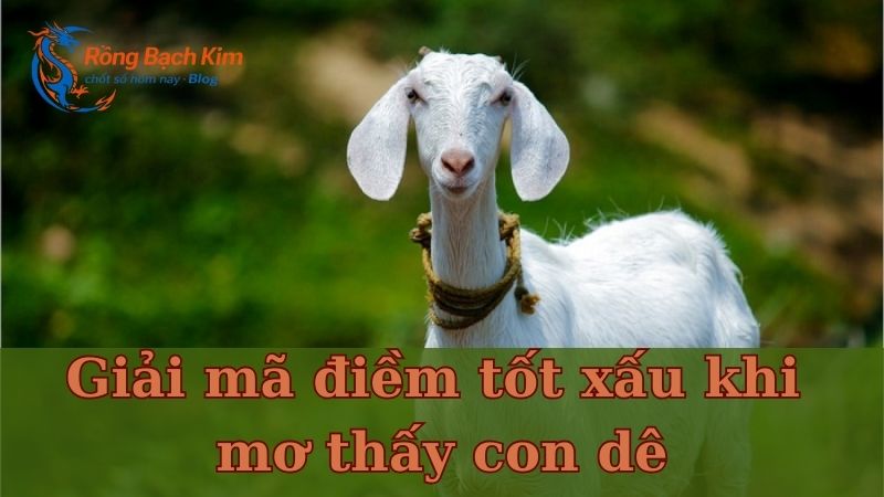 Mơ thấy con dê
