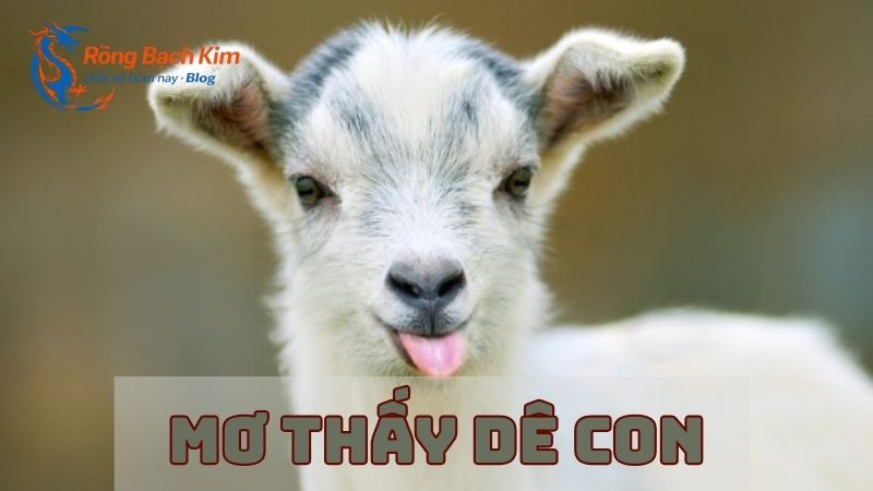Mơ thấy con dê