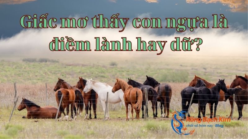 Mơ thấy con ngựa