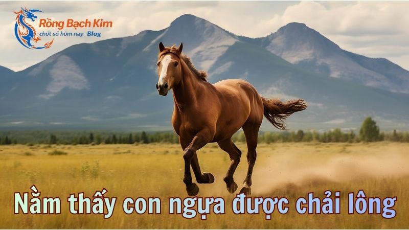 Mơ thấy con ngựa