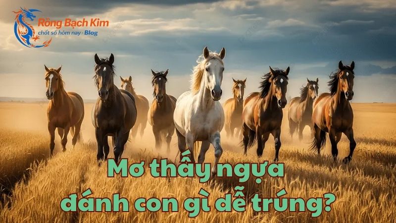 Mơ thấy con ngựa