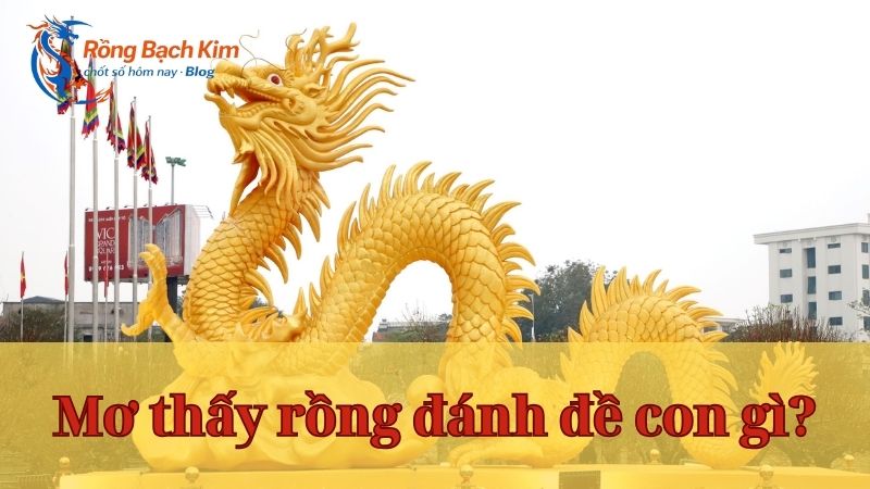 Mơ thấy con rồng