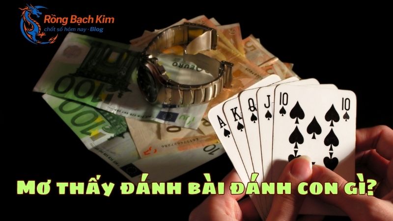 mơ thấy đánh bài