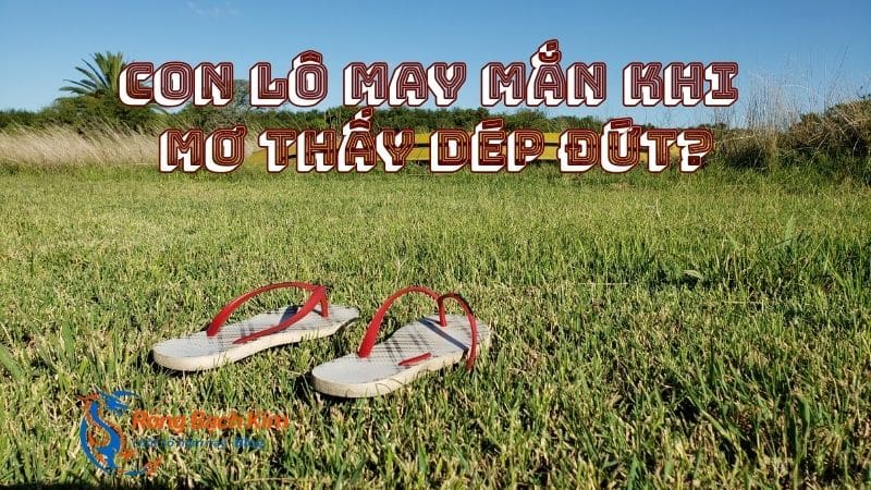 mơ thấy dép đứt